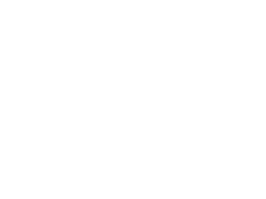Stapler Trainingswelt Logo